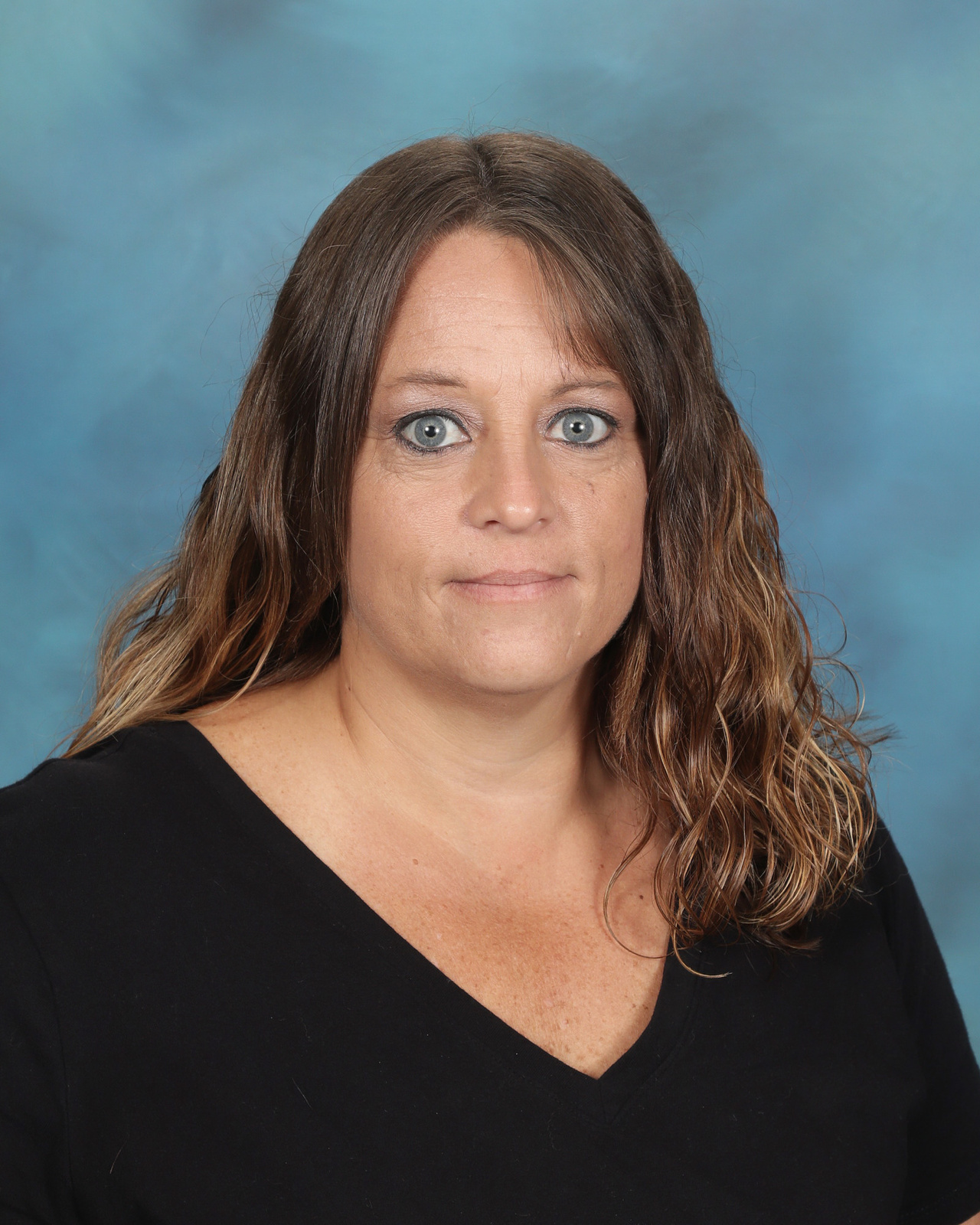 Roseville Schoology - mvoccfy